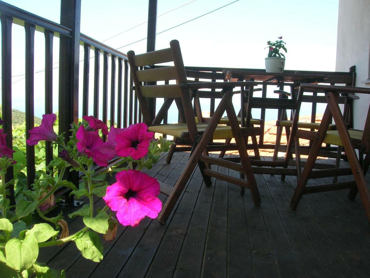 Athina'S House Pension Skala Sotiros Buitenkant foto